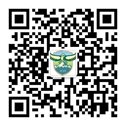 aa877ab4c4199a90bf260f1adcce212.jpg